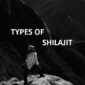 types of shilajit