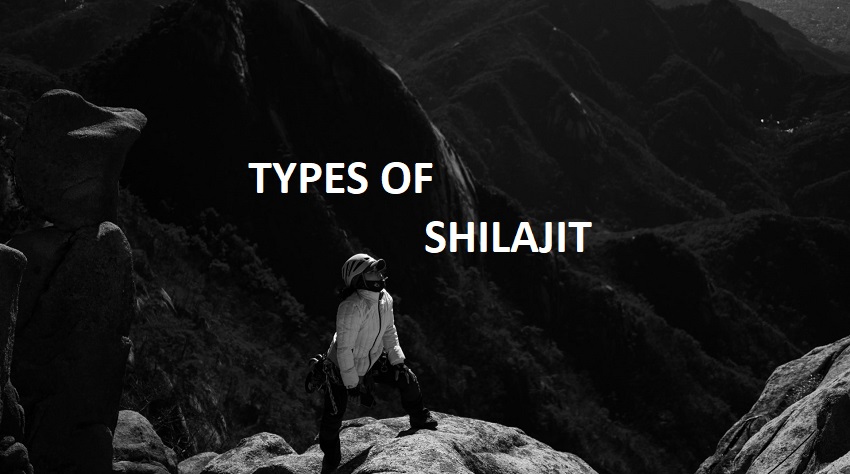 types of shilajit